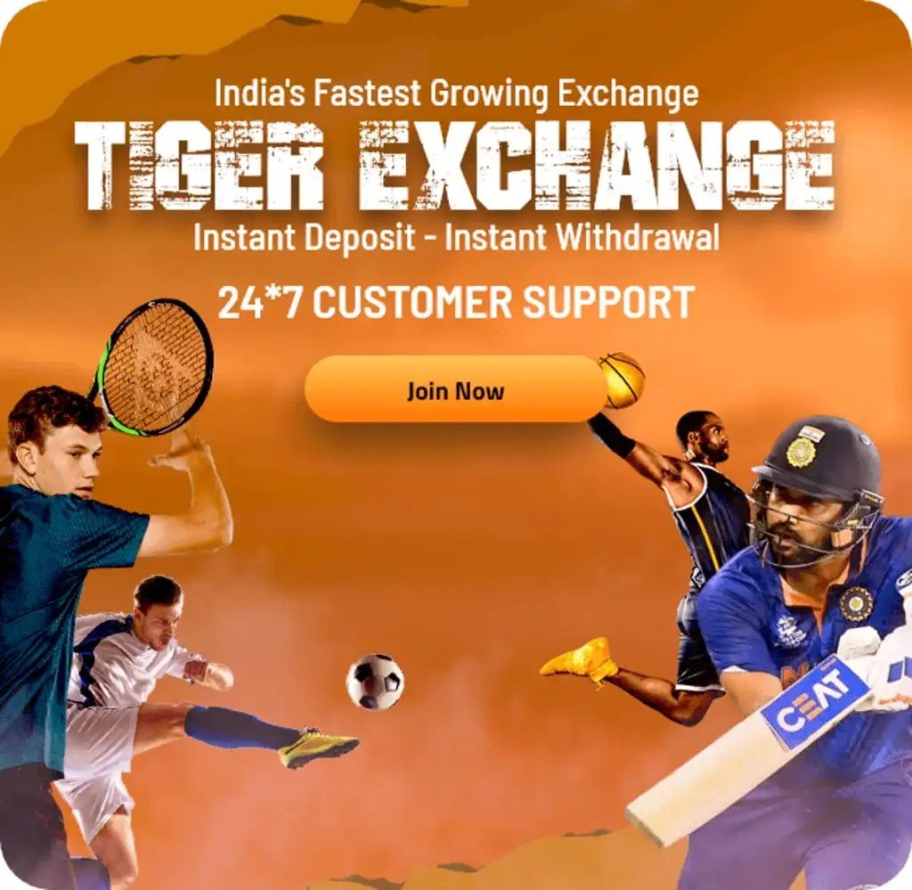 Reliable Support at Tiger Exchange